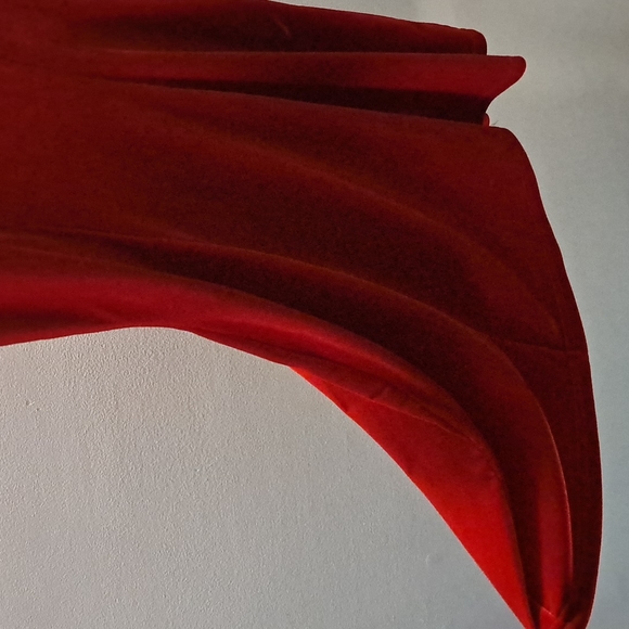 Vintage Red Velvet Fit and Flare Dress - Picture 3 of 4